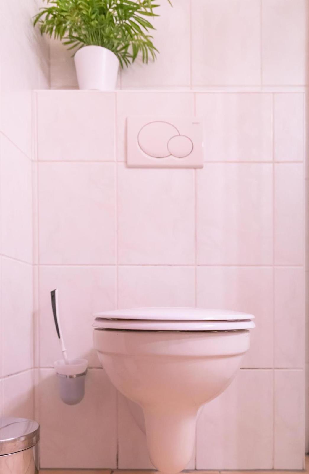 Ferienwohnung 4 Am Petersberg Neef Экстерьер фото